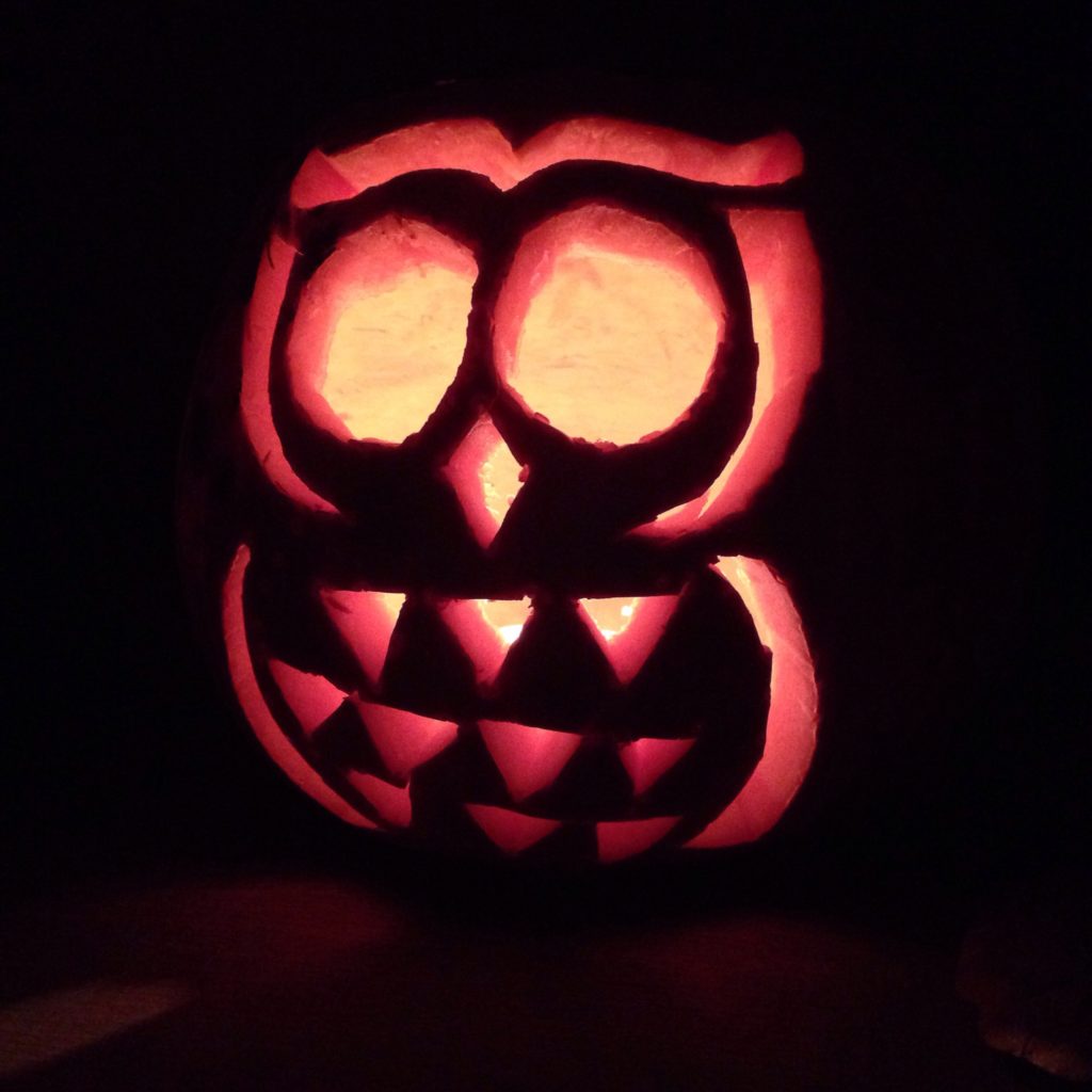 Owl pumpkin | Hello! Hooray!